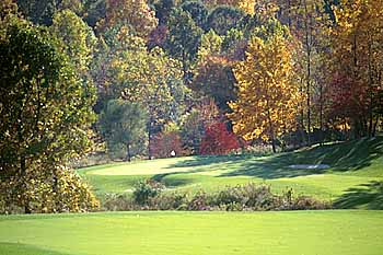 Hole #9 Old South Country Club