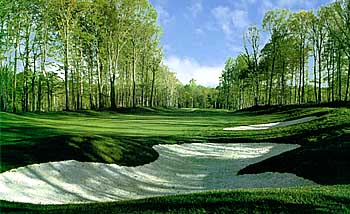Hole #15 Woodlands Golf Course